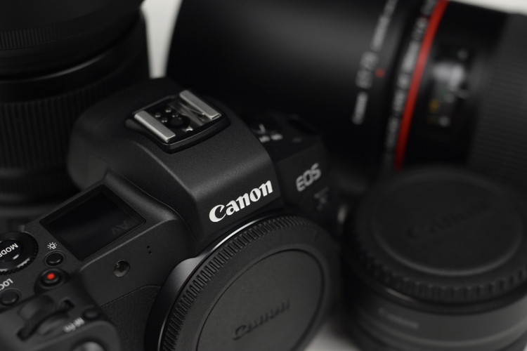 Best Cameras for Wedding Photographers