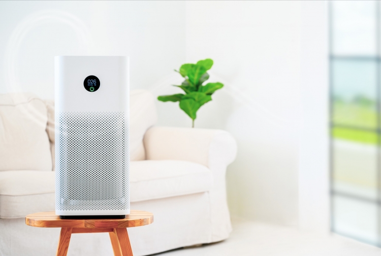 Top 10 Best Air Purifiers
